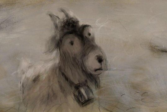 “Jesam li ja vuk?” najbolji film na 8. Canlandiranlar Film Festivalu u Turskoj