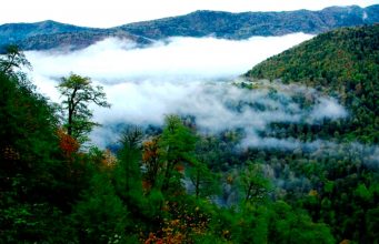 Džangal-e Abr (Šuma Oblaka)